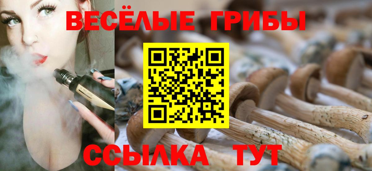 Баксан  Псилоцибиновые грибы Psilocybe  Вход с VPN 